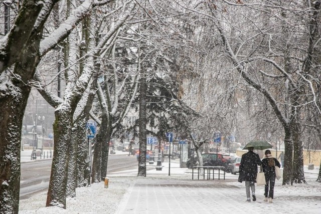 Pogoda w Łodzi w czwartek 20.01.2022...