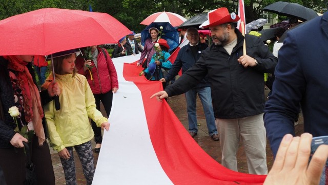 W rocznicę wyborów 1989 roku  KOD oraz inne organizacje i środowiska opozycyjne zorganizowały marsz dla demokracji. Organizatorzy marszu rozdawali białe róże, które  po jednym z przemówień Jarosława Kaczyńskiego stały się symbolem sprzeciwu wobec działań partii rządzącej. Maszerujący domagali się respektowania konstytucji, zasad demokracji, w tym trójpodziału władzy, czyli niezawisłości sądów.