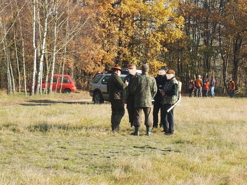 Nowy Tomyśl: Kobieta postrzelona na polowaniu