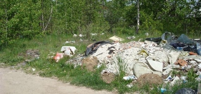 Zdjęcie wykonałem przy ulicy Tarnowskiej w Kielcach, za budynkiem, naprzeciwko wjazdu w Wapiennikową - informuje młody czytelnik "Echa Dnia&#8221;.