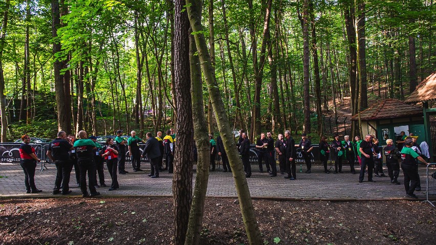 Historyczny spacer po Operze Leśnej w Sopocie 19.07.2019 [zdjęcia]