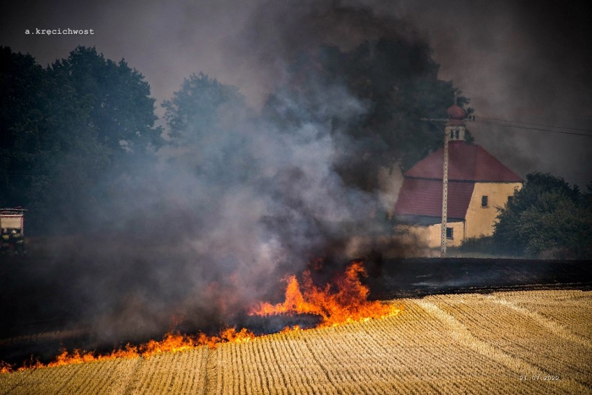 Pożary na Dolnym Śląsku od wczoraj spowodowały wielkie...
