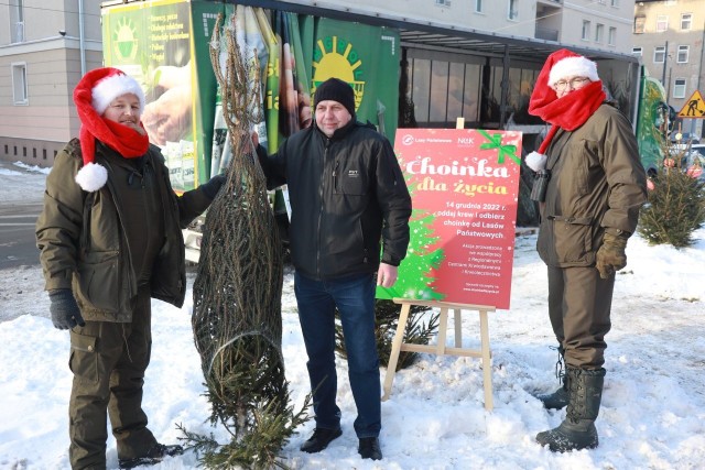 Tłumy łodzian w Regionalnym Centrum Krwiodawstwa i Krwiolecznictwa Łodzi. Mieszkańcy za symboliczną kroplę krwi mogli otrzymać drzewko na święta.