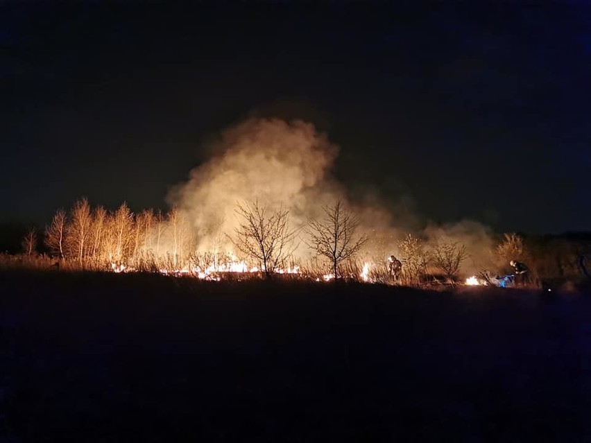 Pożar traw w Owczarach. Znów późnym wieczorem strażacy musieli spieszyć na ratunek