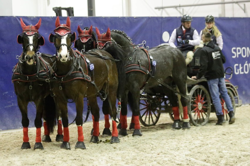 Czwartek był pierwszym dniem rywalizacji w międzynarodowych zawodach Cavaliada Tour w Lublinie (ZDJĘCIA)