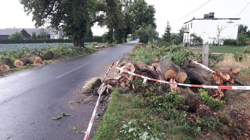 Powiat chełmiński ucierpiał w wyniku przechodzących burz.