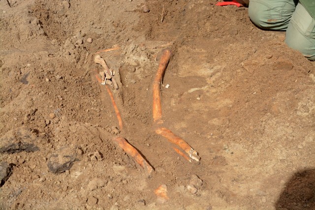 Na miejscu znalezienia szczątków w Kamieniu prowadzone są prace archeologiczne