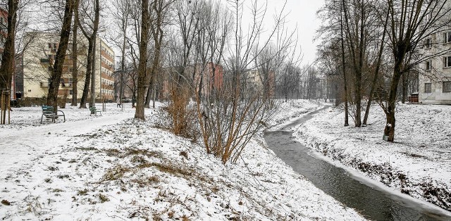 W planie zagospodarowania Białuchy jest m.in. nasadzenie zieleni i wybudowanie dodatkowych mostków