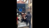 Koń upadł na ulicy w centrum Krakowa. Obrońcy zwierząt reagują