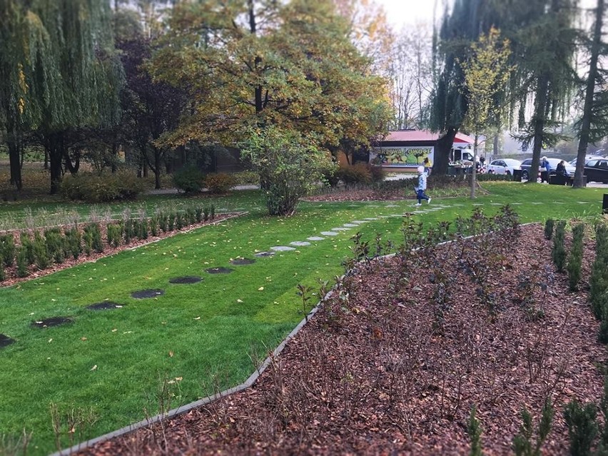 Powstał park kieszonkowy na Wzgórzach Krzesławickich [ZDJĘCIA]