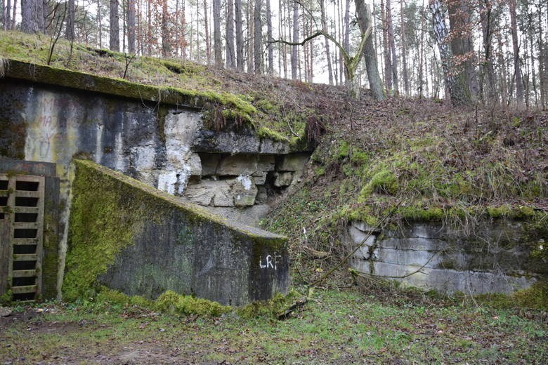 Tajemnicze ruiny hitlerowskiej fabryki, ukryte w lasach...