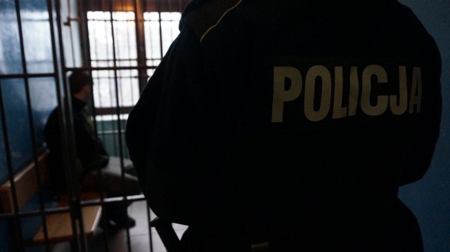 Poszukiwany w ręce policji wpadł na terenie jednej z posesji w Gminie Goleszów (pow. cieszyński).