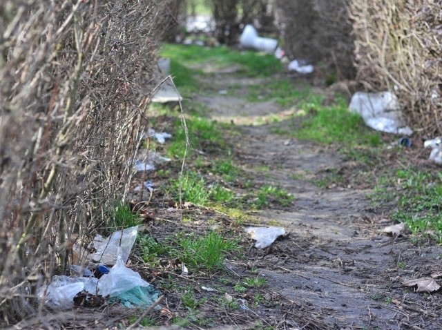 Takie obrazki muszą oglądać mieszkańcy tarnobrzeskiego osiedla Dzików. Zaśmiecone trawniki nie przynoszą chluby naszemu miastu.