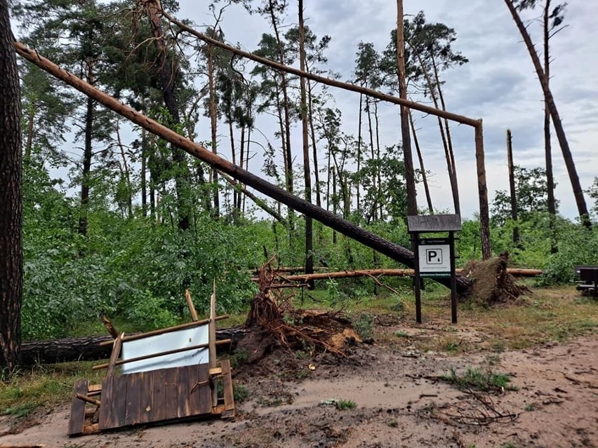 Ubiegłotygodniowa nawałnica spowodował ogromne zniszczenia w...