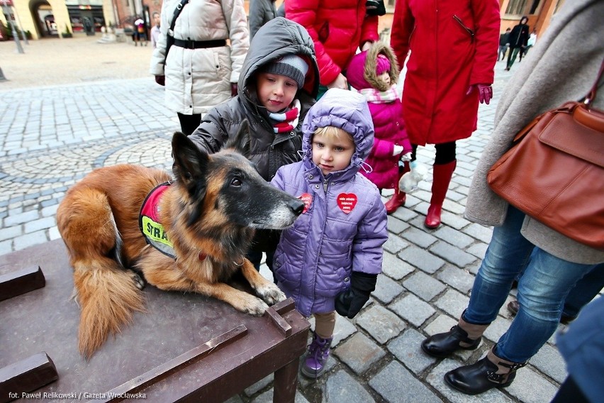 WOŚP we Wrocławiu. Wielka orkiestra zebrała 496 tysięcy (ZDJĘCIA)