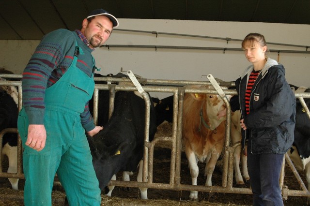 Piotr i Katarzyna Nowakowie nowoczesną oborę na 48 krów zbudowali zaledwie rok temu.