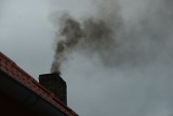 Smog z kopciuchów truje we Wrocławiu. Czym pali się w piecach? To meble, butelki, a nawet odzież