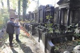 Cmentarz żydowski w Bytomiu to niezwykłe miejsce. Historie Żydów żyją zaklęte w macewach