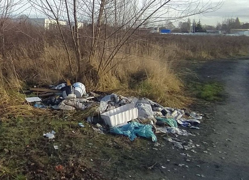 Likwidacja dzikich wysypisk kosztowała w obiegłym roku...