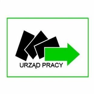 Opolski PUP ma pieniądze na staże. (fot. logo UP)