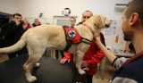 Trwa akcja charytatywna dla psów ratowniczych GOPR