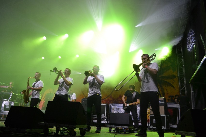 Festiwal reggae odbywa się po raz XIII