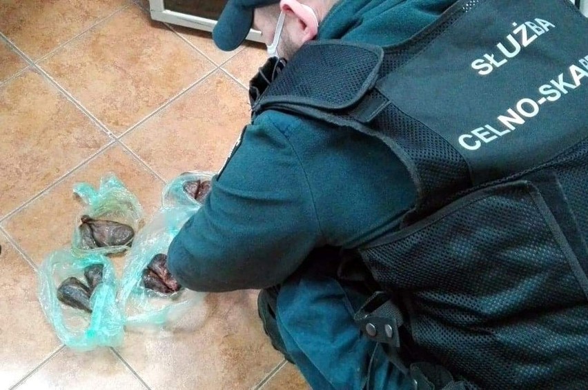 Białorusin próbował przemycić gruczoły bobra europejskiego (zdjęcia)