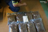 Uderzenie w biznes narkotykowy w Raciborzu. Kryminalni przejęli blisko 11 tysięcy porcji narkotyków
