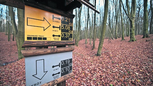 Prawie 5 mln zł kosztowało dotychczasowe zagospodarowanie Góry Chełmskiej