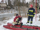 Co za akcja! Owczarek wpadł do przerębla na rzece Małoszówka w Kazimierzy Wielkiej. Z pomocą pospieszyli strażacy (ZDJĘCIA)