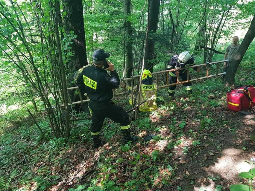 Kąclowa. Strażacy ratowali pechowego paralotniarza. Lotnik zawisł na drzewie blisko 30 metrów nad ziemią na stoku góry Chełm [ZDJĘCIA]