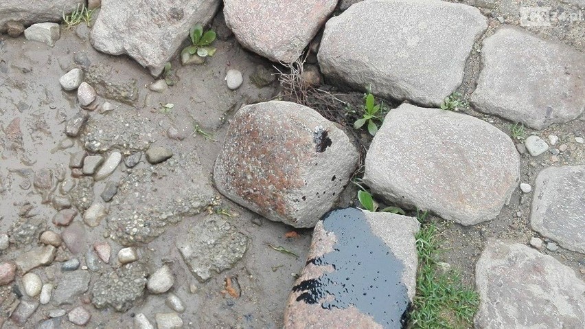 Szczecin: Dziury na Pozdzamczu. Uszkodzone auto? Jak uzyskać odszkodowanie [ZDJĘCIA, WIDEO] 