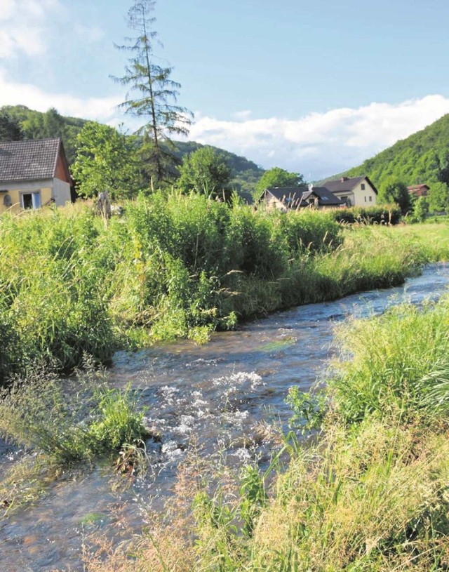 Za rok tereny nad Racławką w Dubiu zmienią się w Dolinę Pstrąga