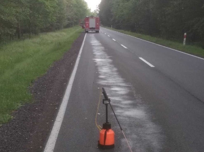 Kolizja koło Trzebielina na drodze krajowej nr 21. Samochód...