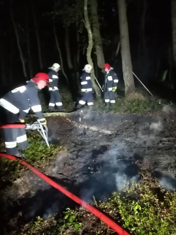 Pożar torfowiska w lesie. Strażacy z Gościna w akcji