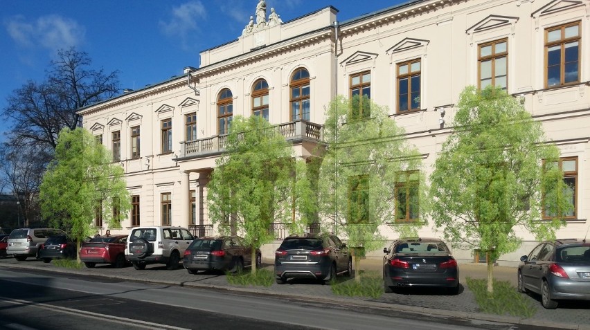 Lipy wyrosną przy Krakowskim Przedmieściu. Miasto wyda 2 miliony na zielone inwestycje w Lublinie