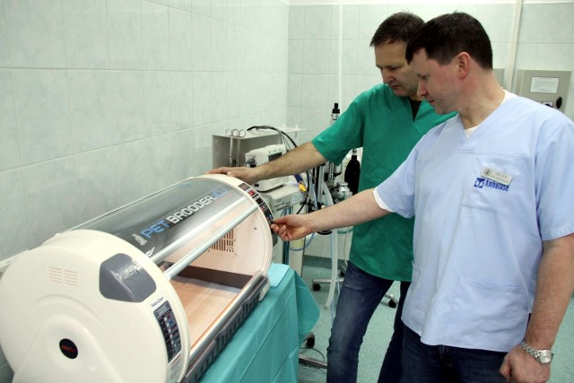 Nowoczesny inkubator działa od dwóch tygodni w klinice rozrodu zwierząt UP przy ul. Głębokiej