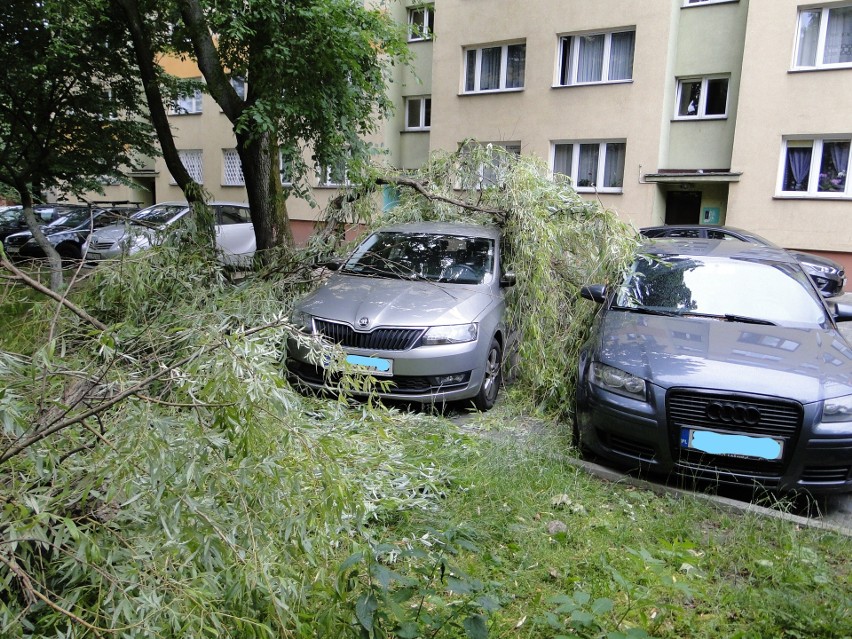 Wielki konar drzewa spadł w czwartek na zaparkowany samochód...