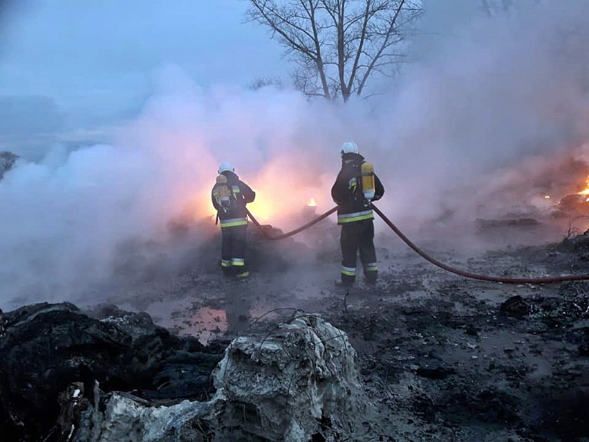 Gmina Stara Dąbrowa. Wielki pożar na składowisku odpadów. 30 strażaków w akcji [ZDJĘCIA, WIDEO]