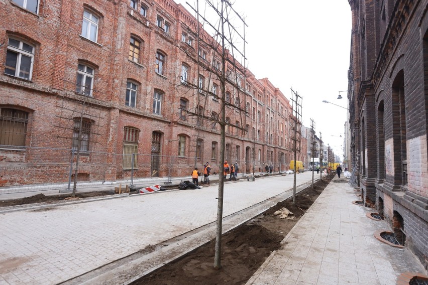 Wzdłuż ulicy Gdańskiej sadzone są lipy kolumnowe.