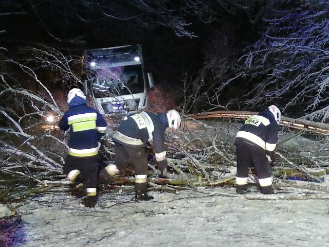 Strażacy z OSP w Połczynie Zdroju interweniowali przy powalonych na drogi drzewach