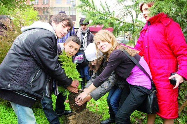 Drzewka i krzewy wspólnie posadzone na placu szkolnym będą przypominały wizytę rówieśników z zagranicy