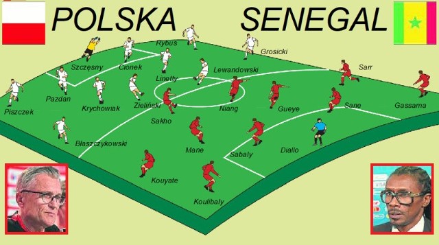Polska Senegal Transmisja online Gdzie oglądać mecz Polska Senegal na żywo Trzymacie kciuki za Polaków? o