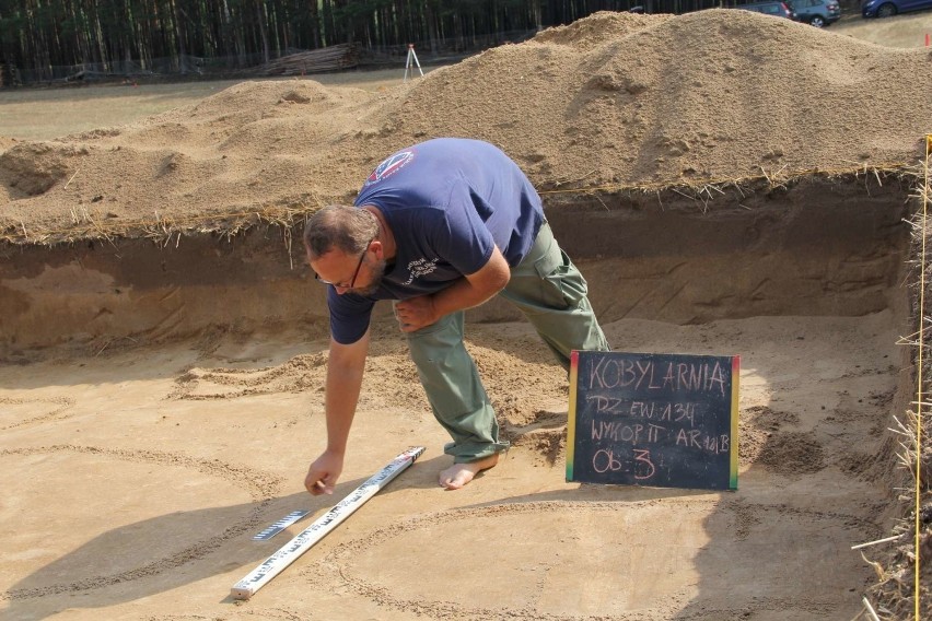 Archeologom pracującym w Kobylarni koło Sierakowa udało się...