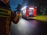 Pożar domu w Kurowie. Błyskawiczna akcja strażaków ocaliła budynek