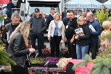 "Dom, Ogród i Ty" w Targach Kielce. Tłumy odwiedzających z całego województwa świętokrzyskiego. Zobacz zdjęcia