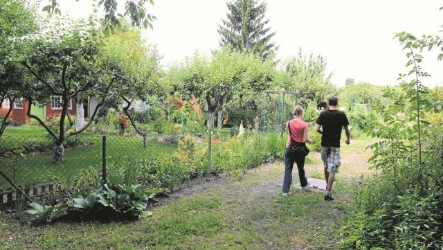 Gmina Michałowice pozbywa się swoich terenów, na których są zlokalizowane ogródki działkowe
