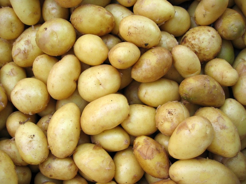Skrobia zawarta w ziemniakach może powodować problemy z...