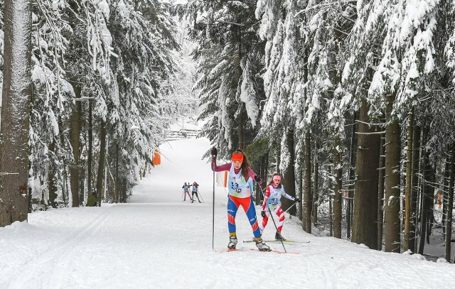 Trasy do narciarstwa biegowego w Zakopanem