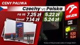 Ceny paliw w Polsce i innych krajach Europy. Ile kosztują benzyna PB 95 i diesel za granicą?